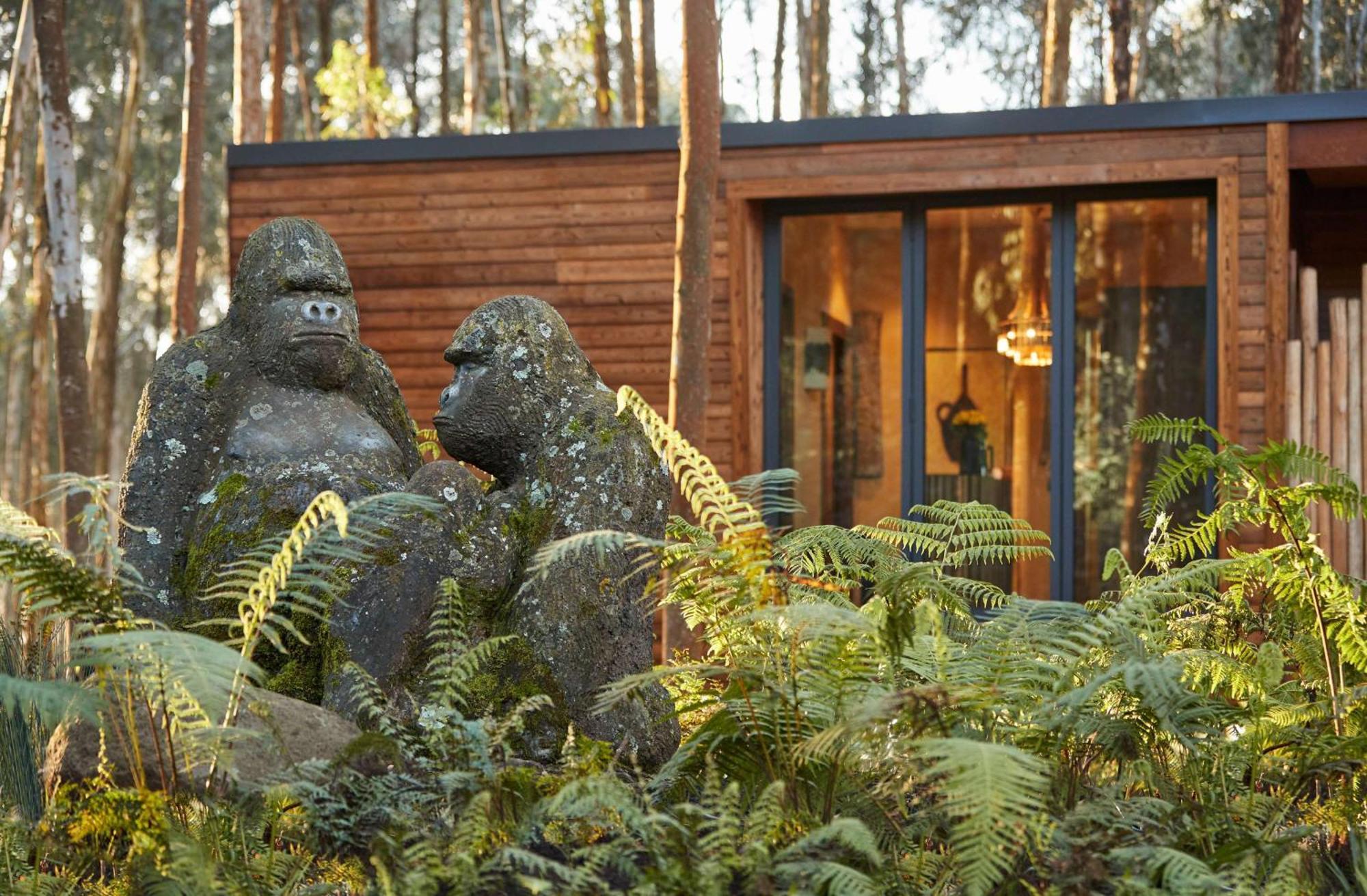 فندق One&Only Gorilla'S Nest Kinigi المظهر الخارجي الصورة
